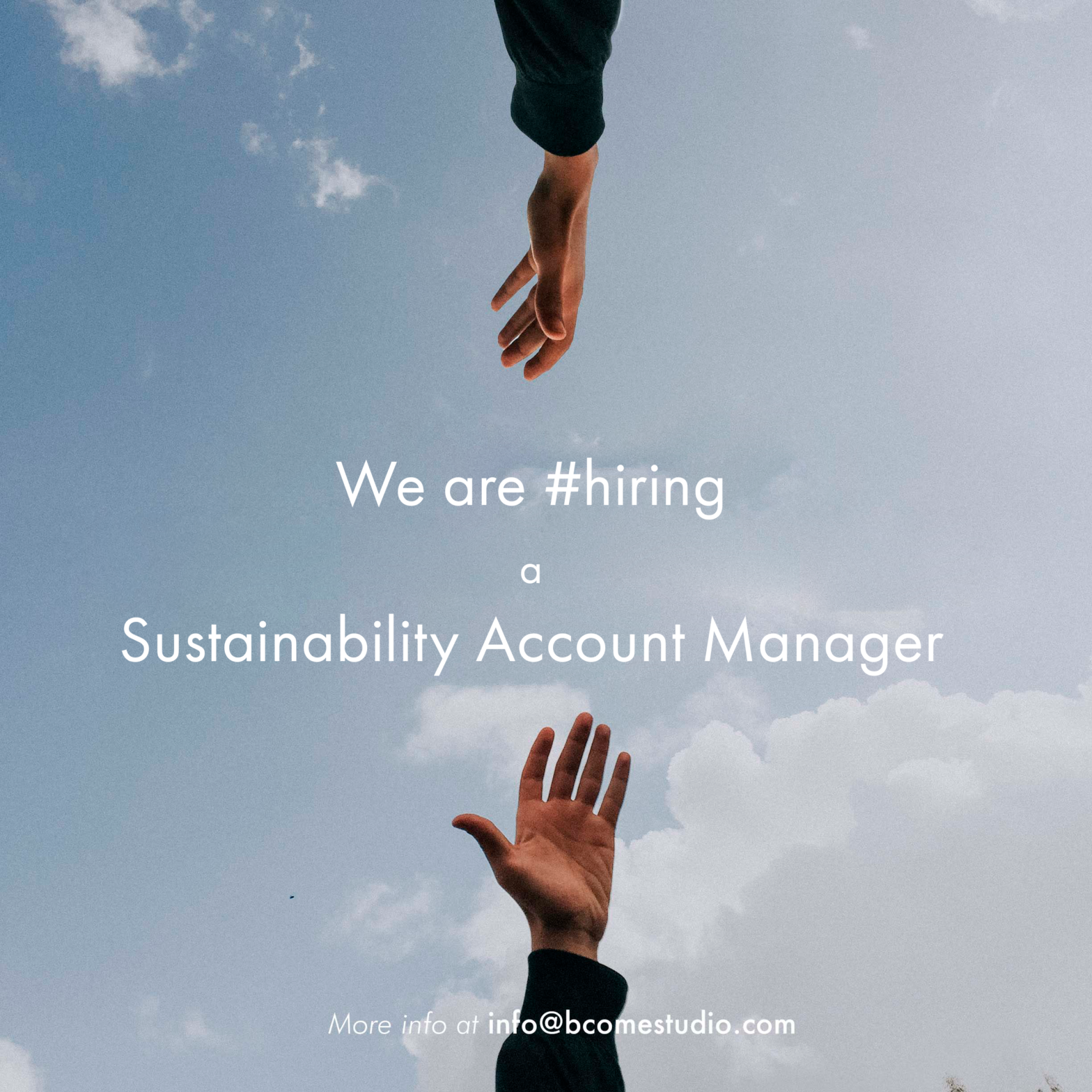 Sustainability Account Manager