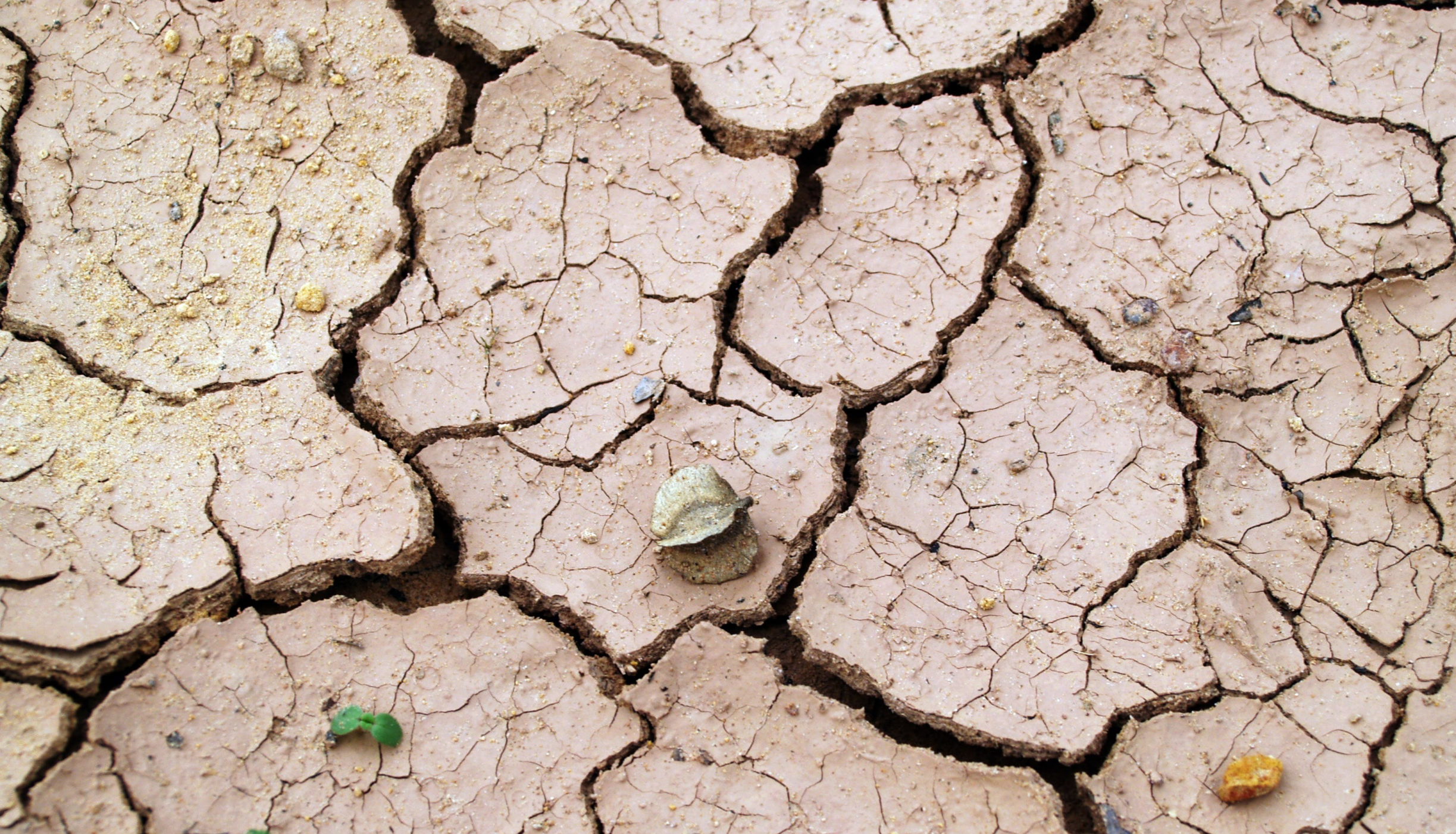 Cómo gestionar las interrupciones de suministro causadas por el clima mediante una Plataforma de Sostenibilidad