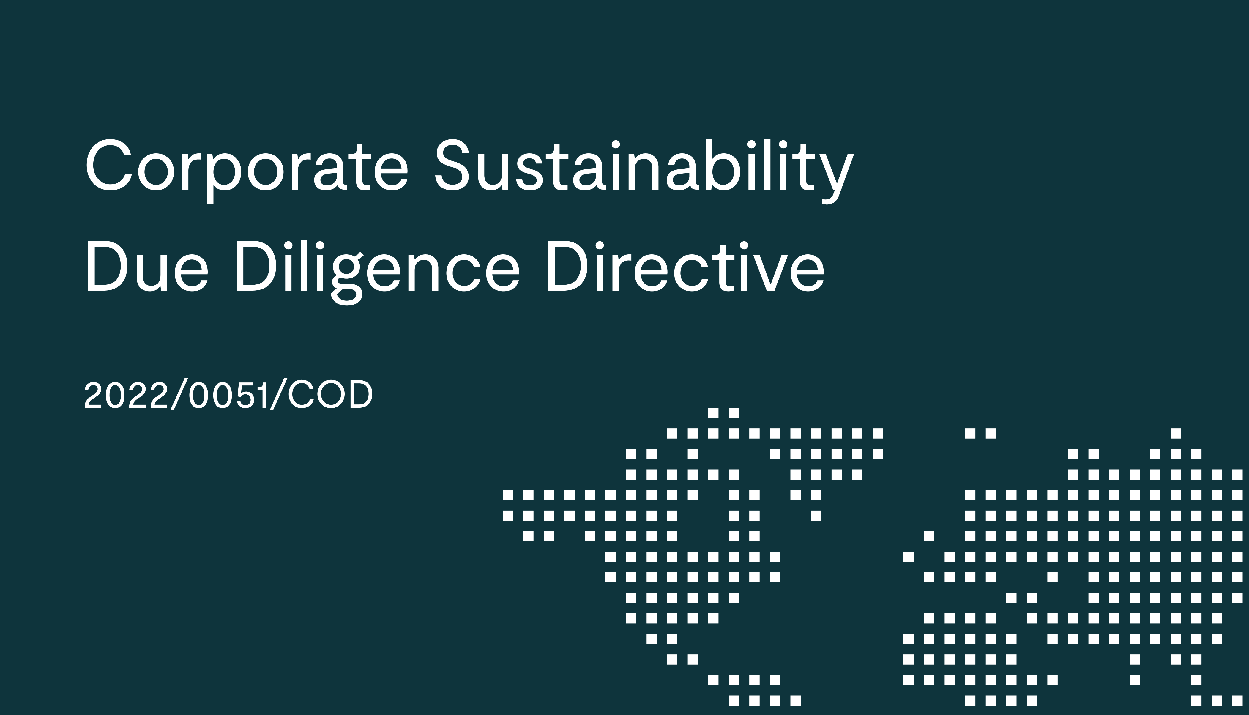 Corporate Sustainability Due Diligence Directive (2022/0051/COD)
